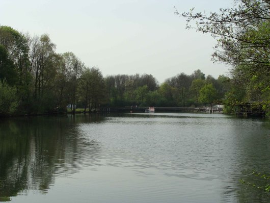 Das 'Bettenkamper Meer' - ein Relikt der früheren Überflutungsgebiete des Rheins