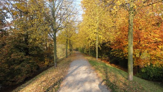 Wallanlagen - vom Schutzdeich zum Spazierweg