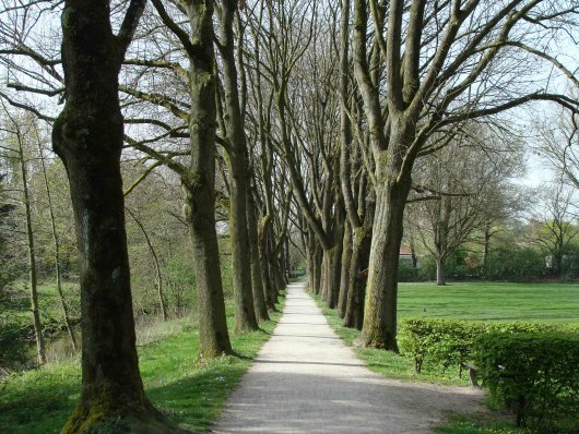 Ein Uferwanderweg verbindet den Park mit dem 'Bettenkamper Meer'