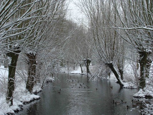 Der Moersbach im Winter